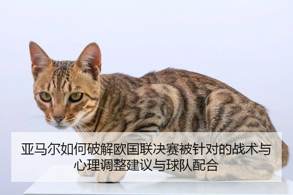 亚马尔如何破解欧国联决赛被针对的战术与心理调整建议与球队配合